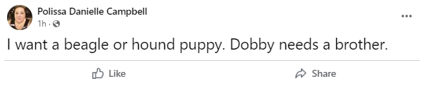 dobbyneedsabrother.PNG
