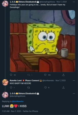 lumi4.png