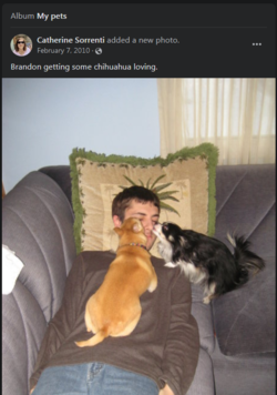 1660188403895.png