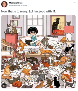 Screenshot 2022-08-11 at 17-00-20 MotherOfCats on Twitter.png