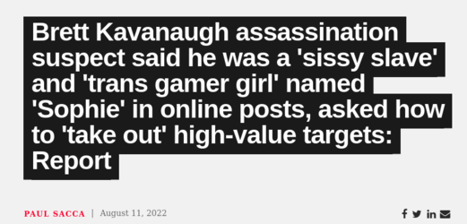 Screenshot 2022-08-12 at 22-46-24 Brett Kavanaugh assassination suspect said he was a 'sissy s...png