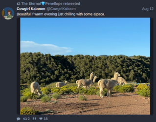 4.PNG