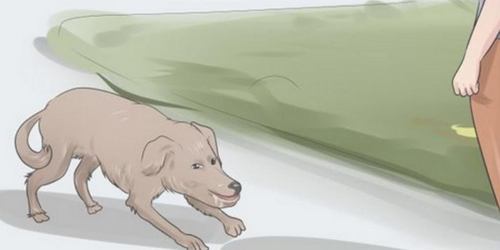 1660379917181.png