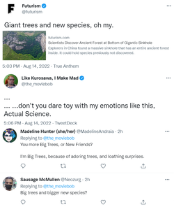trees.png
