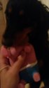 20150704_215311.jpg