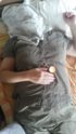 20150704_152433.jpg