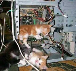 298752513_1127200431559587_6811900263324225648_n.jpg