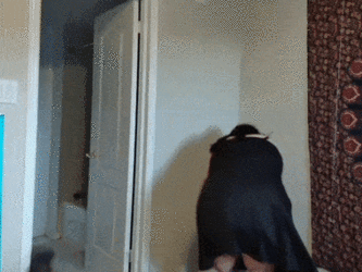 ezgif.com-gif-maker - 2022-08-15T173839.555.gif