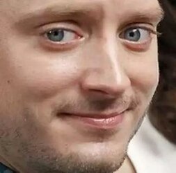 elijah wood.jpg