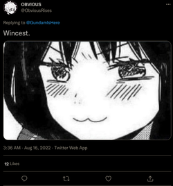 what.png