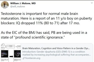 willmalone.jpeg