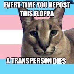 973FB3D8-7B8A-46A6-8C75-F7DBA3842851.jpeg