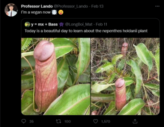 Screenshot 2022-08-18 at 13-39-11 Professor Lando (@Professor_Lando) _ Twitter.png