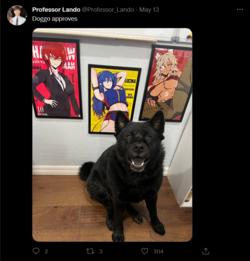 Screenshot 2022-08-18 at 13-56-35 Professor Lando (@Professor_Lando) _ Twitter.png
