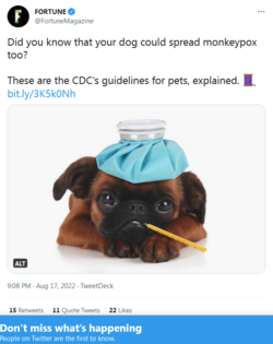 Screenshot 2022-08-18 at 13-31-29 FORTUNE on Twitter.png