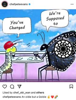 1660829879471.png