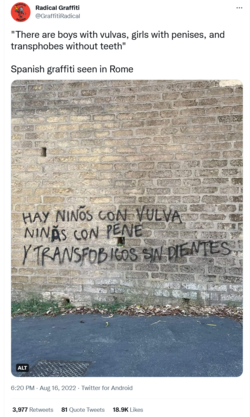 Screenshot 2022-08-18 at 12-54-06 Radical Graffiti on Twitter (2).png