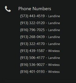 phones.JPG