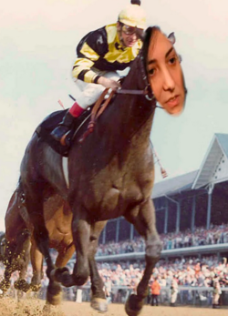 horse.png
