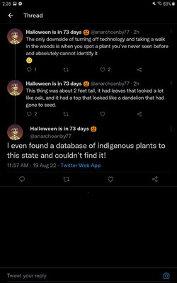 Screenshot_20220819-142804_Twitter.jpg
