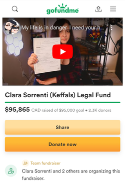 Gofundmeupdate.png