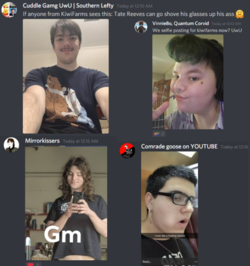 vaush discord selfies.png