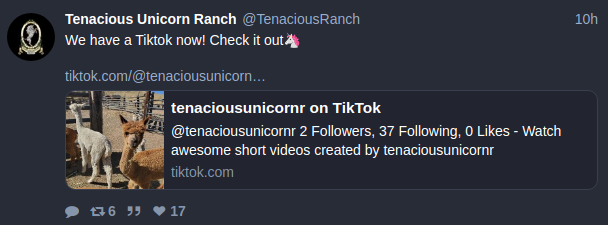4.PNG