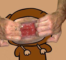 E1810DCD-7E8A-4513-8610-18223E143082.gif