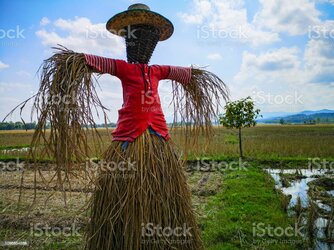 istockphoto-1096854588-1024x1024.jpg