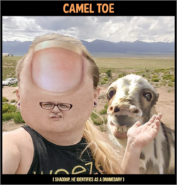 1661035277061.png