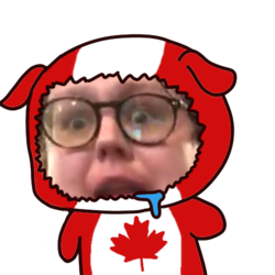 PPPIRLKiwiler.png