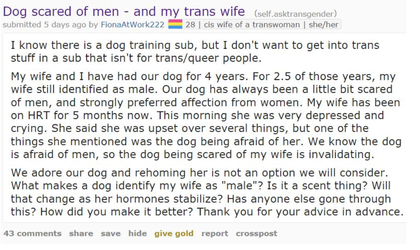 1661058576005.png