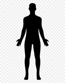humanbod.jpg