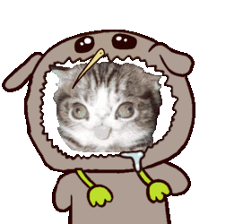8D17719C-A970-4FC8-A9D1-05EADCA77799.gif