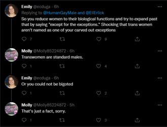 terrible definition 3.PNG