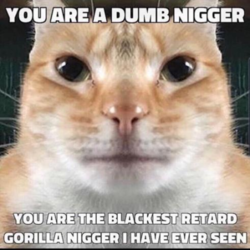 1658609907629835.png