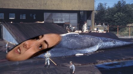 5E3DA67B-E6AF-4C81-A581-88310D61CF50.jpeg