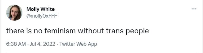 trans1.jpg