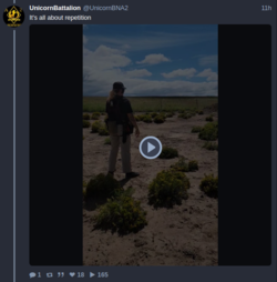 16.PNG