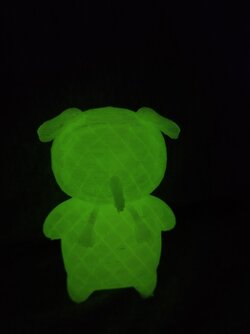 kiwi-glow1.jpg
