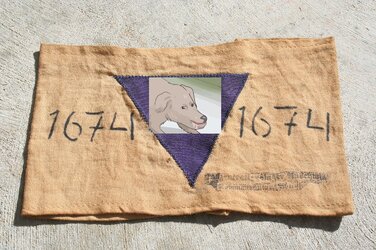 1280px-Purple_Triangle.jpg