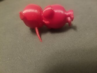 20220822_170134.jpg