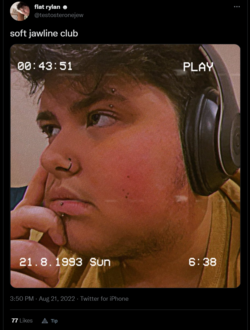 1661207530710.png