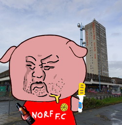 norf.png