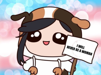 20220823_003944.png