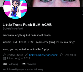 Screenshot 2022-08-23 at 02-30-10 (1) Little Trans Punk BLM ACAB ( LittleTransPunk) Twitter.png