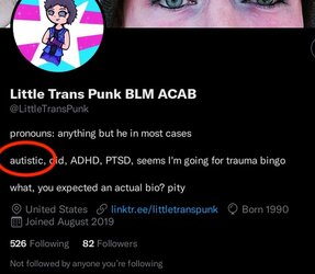 Screenshot 2022-08-23 at 02-30-10 (1) Little Trans Punk BLM ACAB ( LittleTransPunk) Twitter kopi.jpg