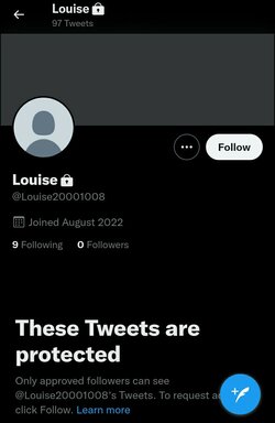 LouiseTwitter2.jpg