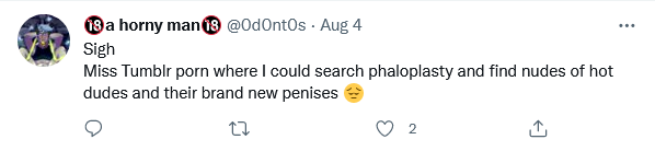 Screenshot 2022-08-22 at 20-32-25 (20) Tweets with replies by 🔞a horny man🔞 (@0d0nt0s) _ Twitter.png