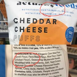 cricket flour.jpg